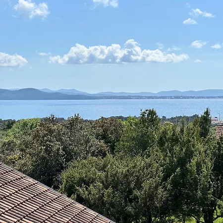 Daire Studio Apartment Near Beach Petrcane - Quiet & Central - Unit 1